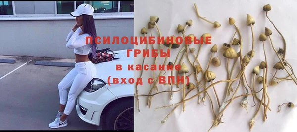 прущая мука Новодвинск