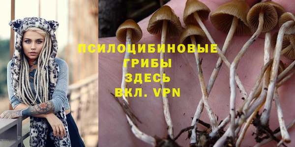 прущая мука Новодвинск