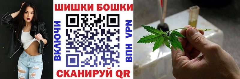 Бошки Шишки сатива  купить  цена  Ужур 
